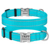 Ошейник нейлоновый для собак Active со светоотражением и металлической пряжкой, голубой L 35-45 см
