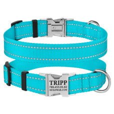 Ошейник нейлоновый для собак Active со светоотражением и металлической пряжкой, голубой S 25-33 см