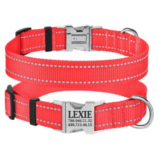 Ошейник нейлоновый для собак Active со светоотражением и металлической пряжкой, коралловый S