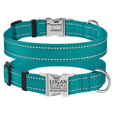 Ошейник нейлоновый для собак Active со светоотражением и металлической пряжкой, темный бирюзовый S 25-33 см