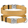 Нашийник нейлоновий для собак Active зі світловідбиттям та металевою пряжкою, золотистий S 25-33 см