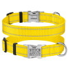 Ошейник нейлоновый для собак Active со светоотражением и металлической пряжкой, желтый L 35-45 см