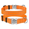 Ошейник нейлоновый для собак Active со светоотражением и металлической пряжкой, оранжевый S 25-33 см