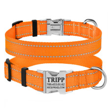 Ошейник нейлоновый для собак Active со светоотражением и металлической пряжкой, оранжевый S 25-33 см