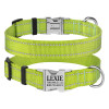 Ошейник нейлоновый для собак Active со светоотражением и металлической пряжкой, салатовый S 25-33 см