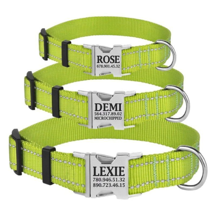 Ошейник нейлоновый для собак Active со светоотражением и металлической пряжкой, салатовый S 25-33 см