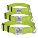 Ошейник нейлоновый для собак Active со светоотражением и металлической пряжкой, салатовый S 25-33 см