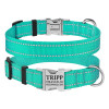 Ошейник нейлоновый для собак Active со светоотражением и металлической пряжкой, бирюзовый S 25-33 см