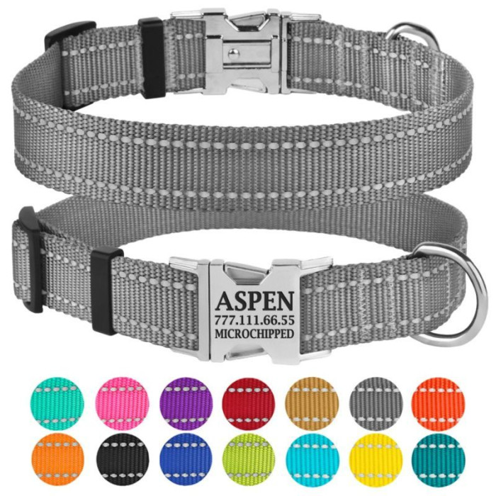 Нашийник нейлоновий для собак Active зі світловідбиттям та металевою пряжкою, сірий S 25-33 см