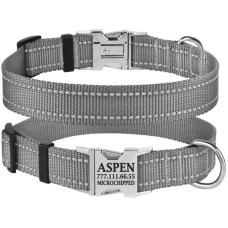 Ошейник нейлоновый для собак Active со светоотражением и металлической пряжкой, серый S 25-33 см