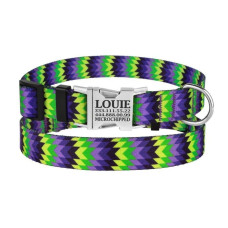 Нашийник для собак Urban Зигзаг нейлоновий з металевою пряжкою, Салатово-Фіолетовий