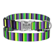 Нашийник для собак Urban нейлоновий з пряжкою сріблястого кольору, фіолетово-салатовий в смужку