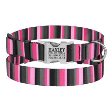 Нашийник для собак Urban нейлоновий із пряжкою сіро-рожевий у смужку