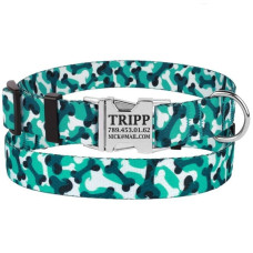 Нейлоновый ошейник для собак BronzeDog URBAN КОСТОЧКА бирюзовый с металлической пряжкой S 25-33 см