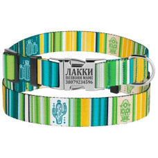 Ошейник для Собак BronzeDog Urban West Нейлоновый с Металлической Пряжкой Салатовый S 1,6 см 25-33 см 