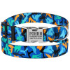 Ошейник для Собак BronzeDog Urban Camo Нейлоновый с Металлической Пряжкой, Синий S 1,6 см 25-33 см