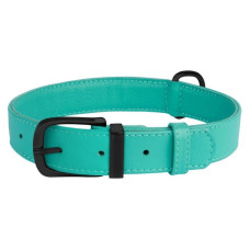 Ошейник для собак кожаный BronzeDog Premium без украшений, мятный 