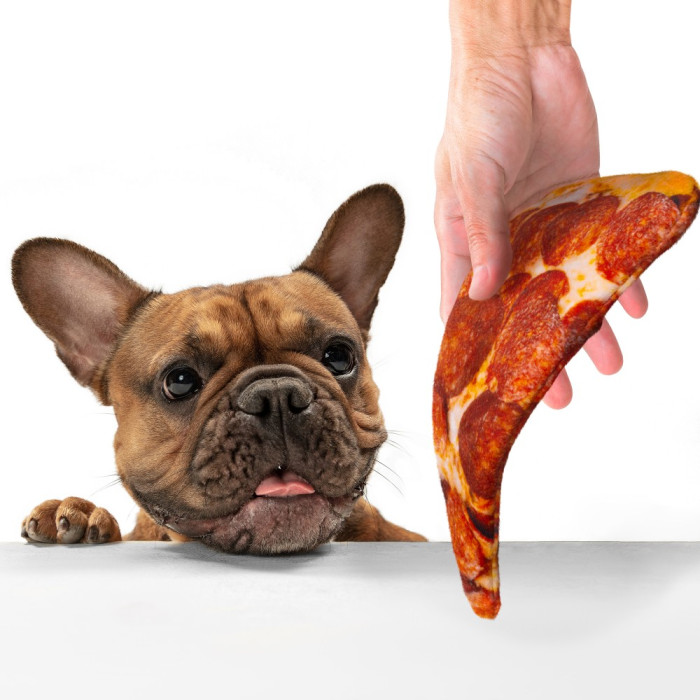 Іграшка для Собак Піца XS  23х15 