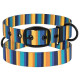 Ошейник для собак BronzeDog Urban нейлоновый c ременной пряжкой, желто-синяя полоска 