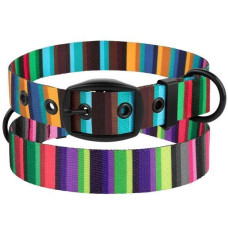 Ошейник для собак BronzeDog Urban нейлоновый c ременной пряжкой, цветная полоска 