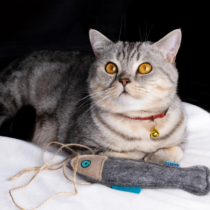 Игрушка для Кошек Barksi Фетр Рыбка с веревкой Серая XS 19 х 6