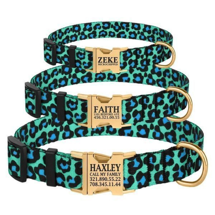 Ошейник для собак BronzeDog Urban нейлоновый c золотистой пряжкой, бирюзовый леопард S 25-33 см