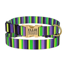 Нашийник для собак Urban нейлоновий з пряжкою золотистого кольору, фіолетово-салатовий в смужку