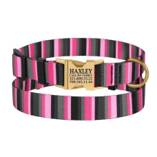 Нашийник для собак Urban нейлоновий із пряжкою золотистого кольору, сіро-рожевий у смужку