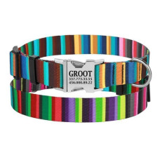 Нашийник для собак Urban нейлоновий з пряжкою золотистого кольору, кольоровий в смужку