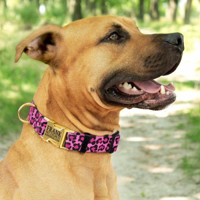 Ошейник для собак BronzeDog Urban нейлоновый c золотистой пряжкой, розовый леопард 