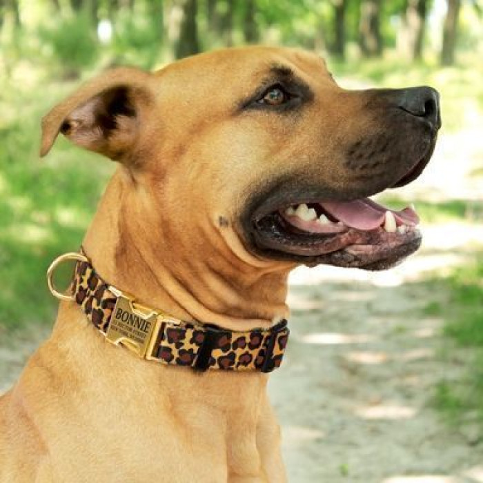 Ошейник для собак BronzeDog Urban нейлоновый c золотистой пряжкой, коричневый леопард S 25-33 см