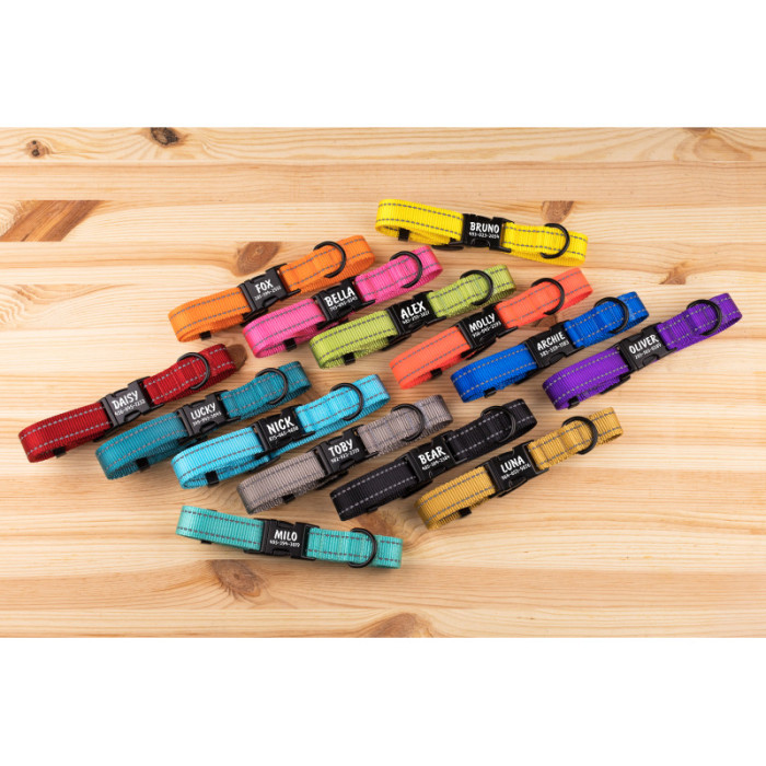 Ошейник нейлоновый для собак Active Limited светоотражающий Розовый, M – 30-40 см