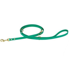 Поводок-перестежка для собак BronzeDog Premium с литой латунной фурнитурой 122-183 см, Бирюзовый 