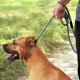 Поводок-удавка Bronzedog Active из альпинистского шнура Черно-Серый 183 см, M