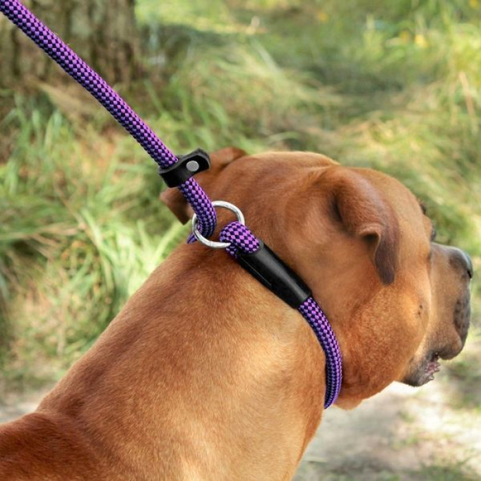 Поводок-удавка Bronzedog Active из альпинистского шнура Черно-Фиолетовый 183 см, M