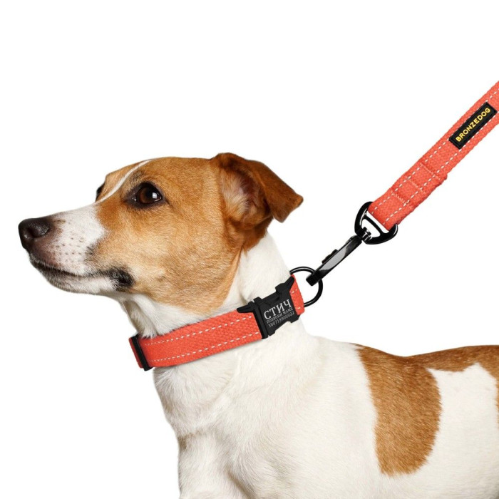 Ошейник для собак Bronzedog Сotton рефлекторный х/б брезент c металлической пряжкой, Оранжевый S 25-33 см