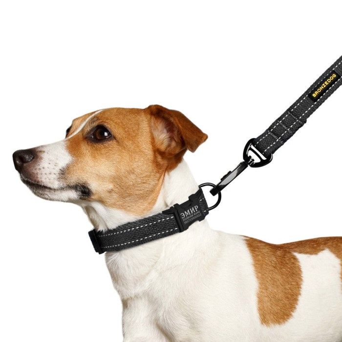 Ошейник для собак Bronzedog Сotton рефлекторный х/б брезент c металлической пряжкой, Графит L 35-45 см