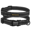 Ошейник для собак Bronzedog Сotton рефлекторный х/б брезент c металлической пряжкой, Графит S 25-33 см