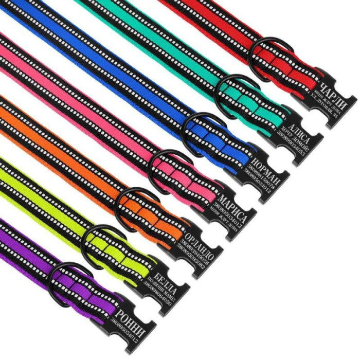 Ошейник для Собак BronzeDog Mesh c Металлической Пряжкой, Синий M 30-40 см