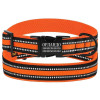 Ошейник для Собак BronzeDog Mesh c Металлической Пряжкой, Оранжевый M 30-40 см