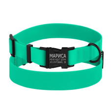 Ошейник для собак мелких пород BronzeDog Surf металлическая пряжка водоотталкивающий с защитным полимерным покрытием Зеленый XS 18-28 см