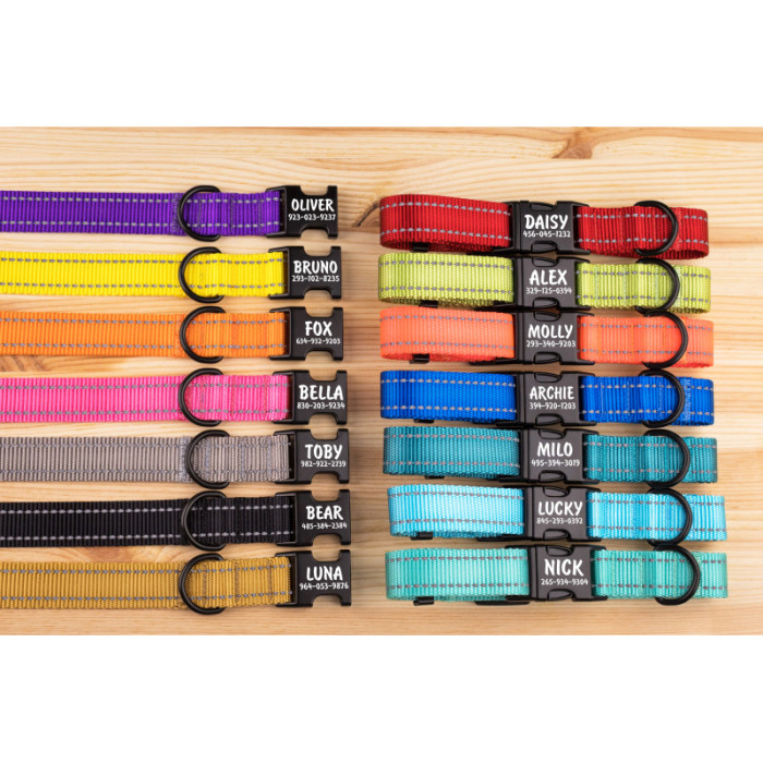 Нашийник для собак Active світловідбиваючий Сірий, L - 35-53 см