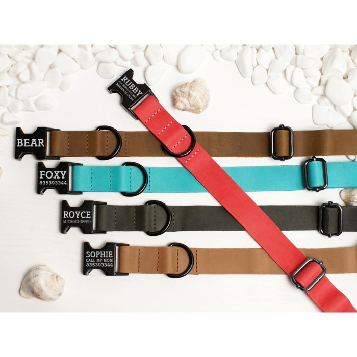 Ошейник для собак BronzeDog Crazy кожаный плоский фастекс Бежевый S 30-40 см 