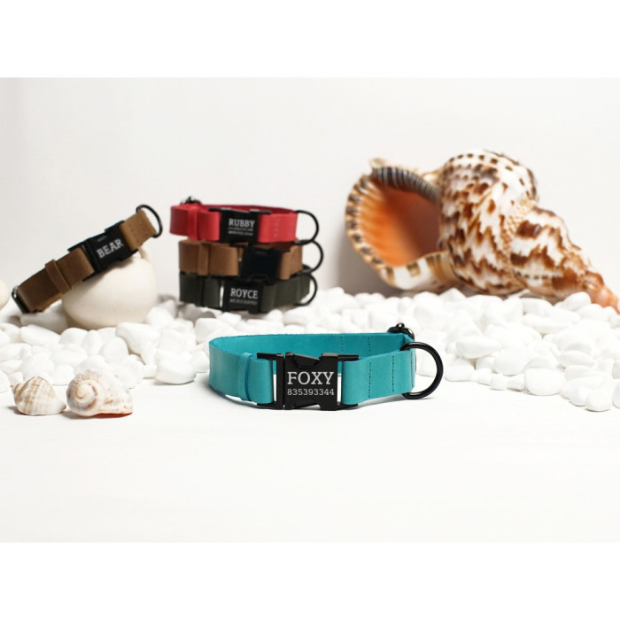 Ошейник для собак BronzeDog Crazy кожаный плоский фастекс Бежевый S 30-40 см 