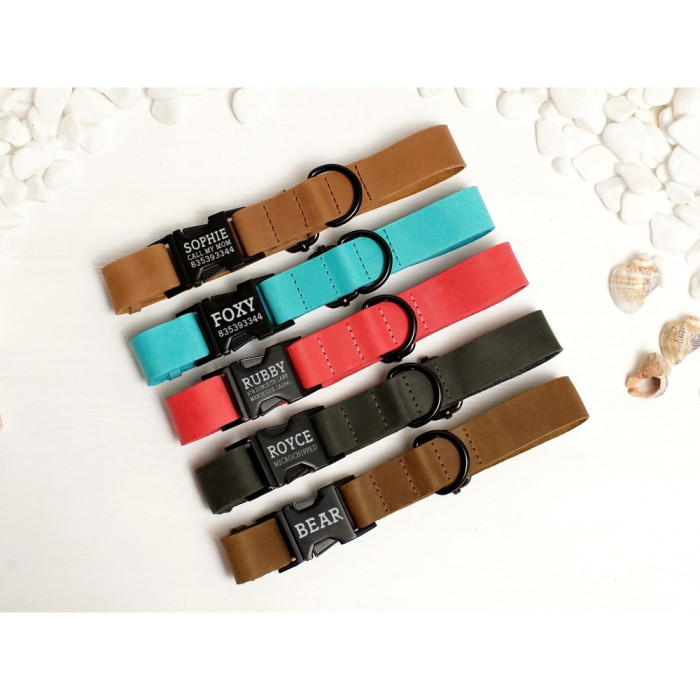 Ошейник для собак BronzeDog Crazy кожаный плоский фастекс Бежевый S 30-40 см 