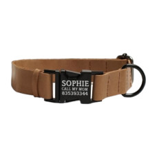 Нашийник для собак Crazy шкіряний плоский фастекс Бежевий XS 20-25 см 