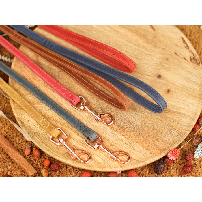 Поводок для собак BronzeDog Crazy кожаный розовое золото Горчица, M: 153 см, 18 мм