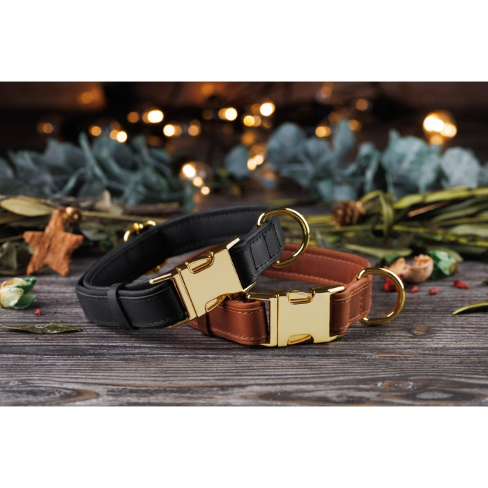 Ошейник для собак кожаный BronzeDog двойной Красный XL 45-66 см