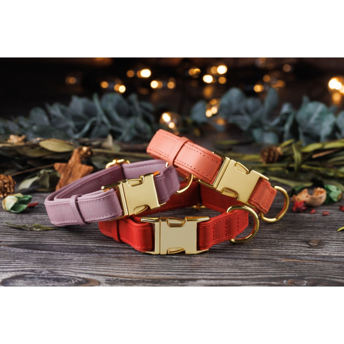Ошейник для собак кожаный BronzeDog двойной Красный XL 45-66 см
