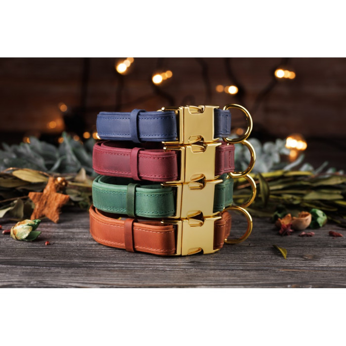 Ошейник для собак кожаный BronzeDog двойной Красный XL 45-66 см